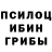 Псилоцибиновые грибы GOLDEN TEACHER Mr23Joel