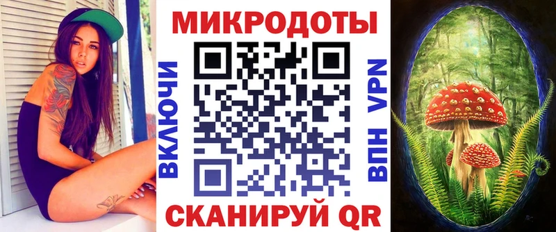 Псилоцибиновые грибы Psilocybe  Полтавская 